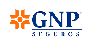 Grupo Nacional Provincial